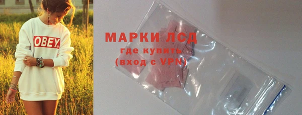ГАЛЛЮЦИНОГЕННЫЕ ГРИБЫ Алексеевка