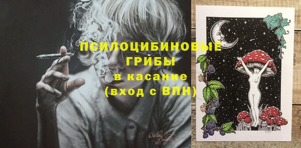 ГАЛЛЮЦИНОГЕННЫЕ ГРИБЫ Алексеевка