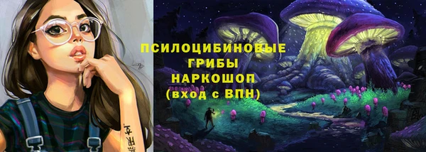 ГАЛЛЮЦИНОГЕННЫЕ ГРИБЫ Алексеевка