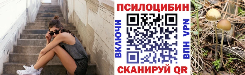 Галлюциногенные грибы Cubensis Каменск-Уральский