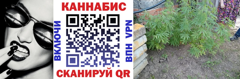 где найти наркотики ОМГ ОМГ ONION Шишки марихуана тримм Каменск-Уральский
